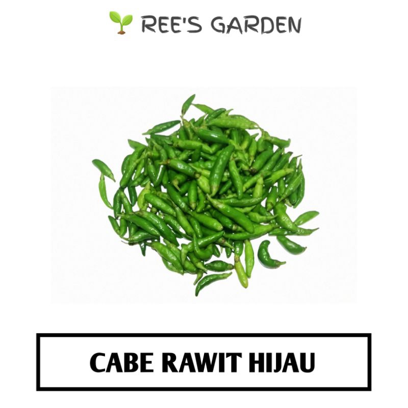 

CABE RAWIT HIJAU PEDAS SEGAR