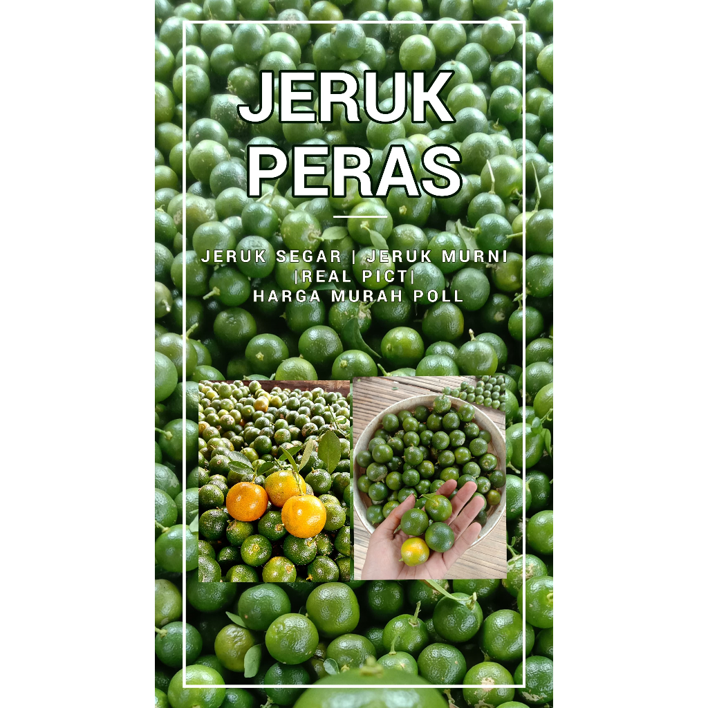 

JERUK SONKIT 2KG / JERUK KASTURI / JERUK KUNCI/JERUK PERAS