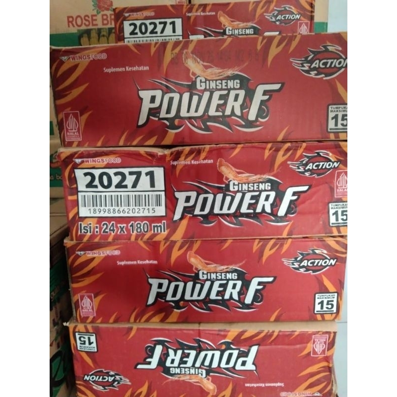 

power F ginseng 1dus