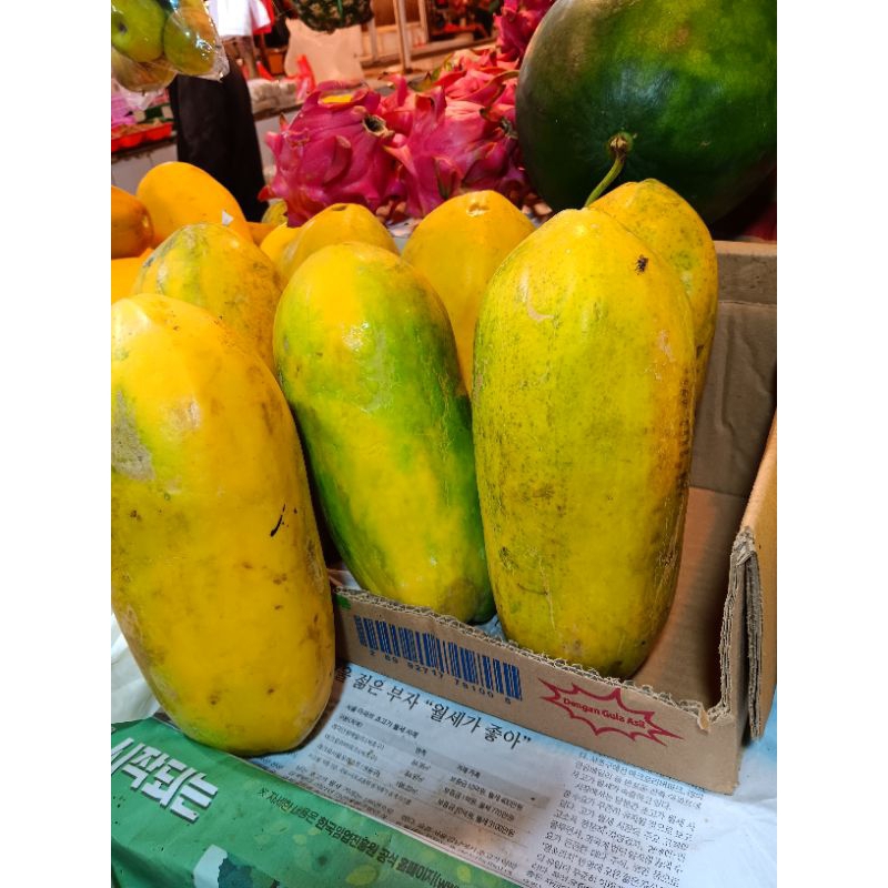 

buah pepaya california berat 1,2 - 1,5kg
