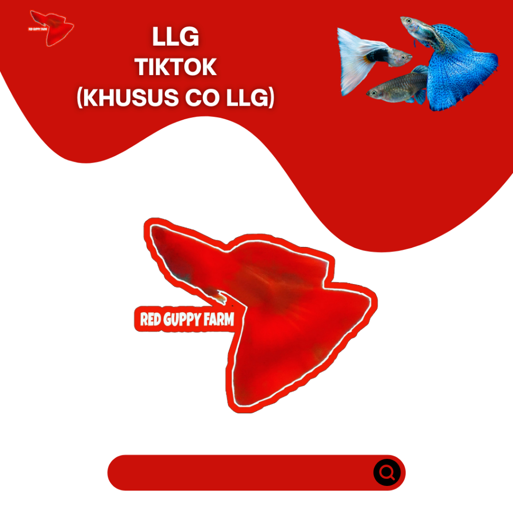 

STICKER UNIK LLG