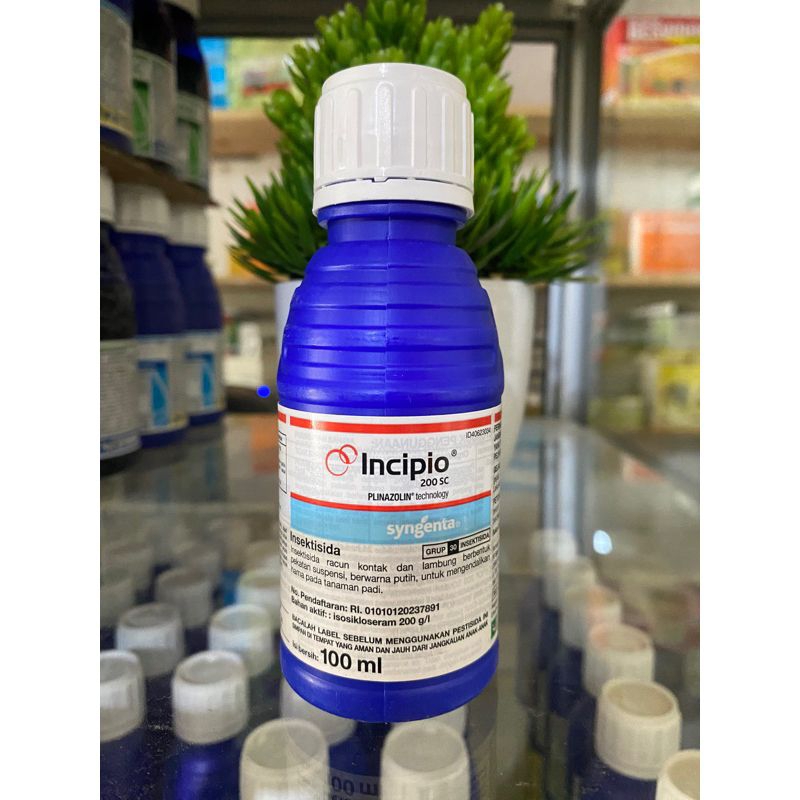 INSEKTISIDA INCIPIO KEMASAN 100 ML ORIGINAL 100%