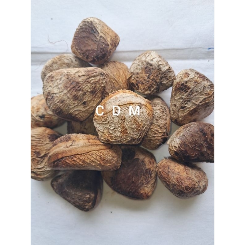 

buah picung buah klewek tua 1kg