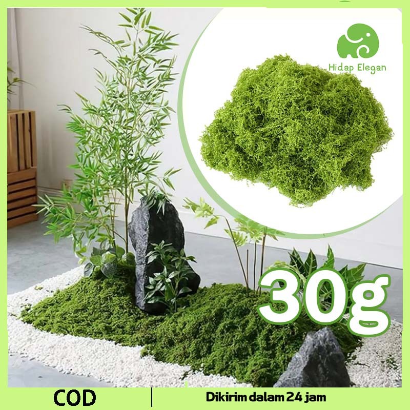 Lumut Palsu Moss Lumut Kering Aplikasi Multi-Adegan Lumut Palsu Hiastanaman Dekorasi Taman Aesthetic