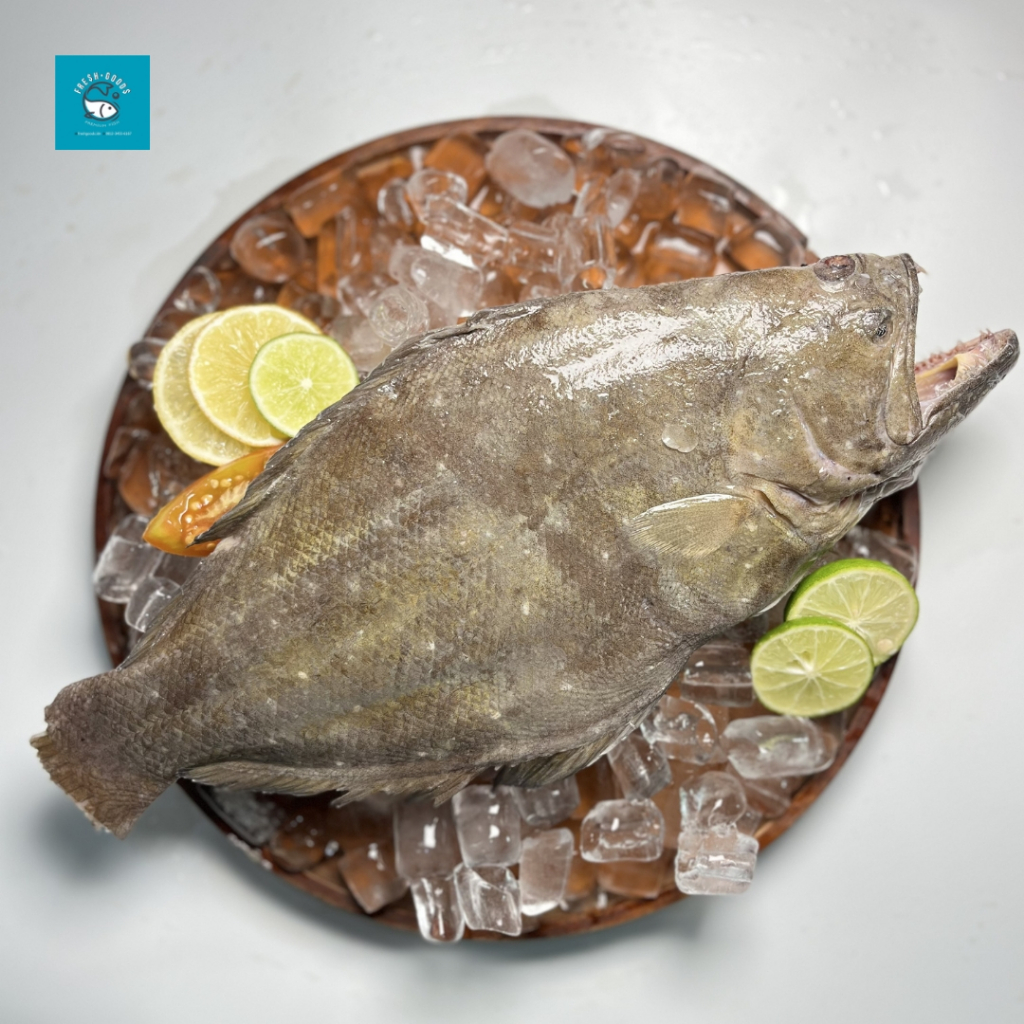 

Ikan Halibut Premium / Ikan Sebelah Dijamin SEGAR dan BERKUALITAS by FreshGoods