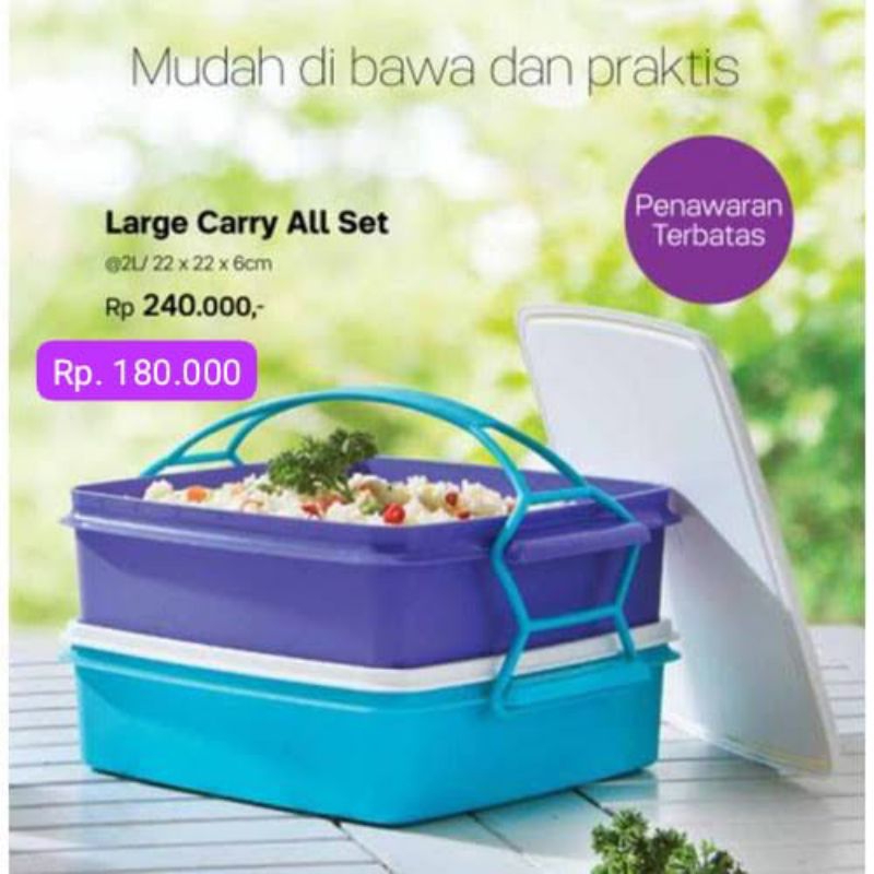 Tupperware Large Carry All set