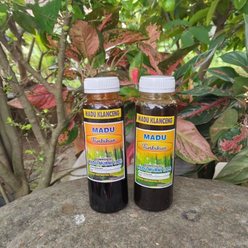 

madu lebah klanceng tanbihun