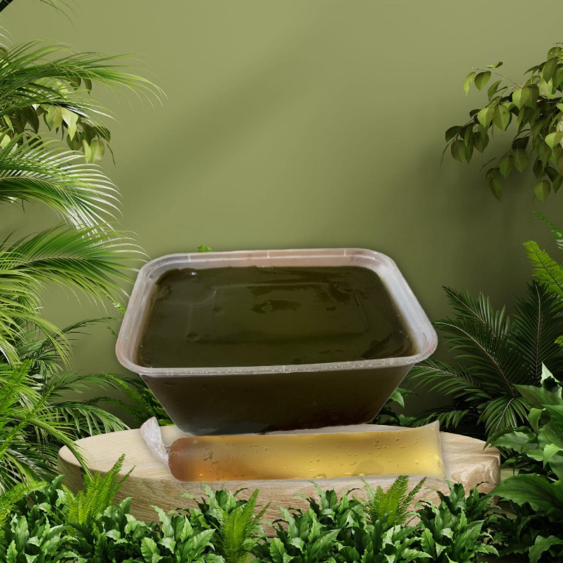 

Cincau Hijau Tradisional 500 ml 100% Alami dengan Gula Pandan