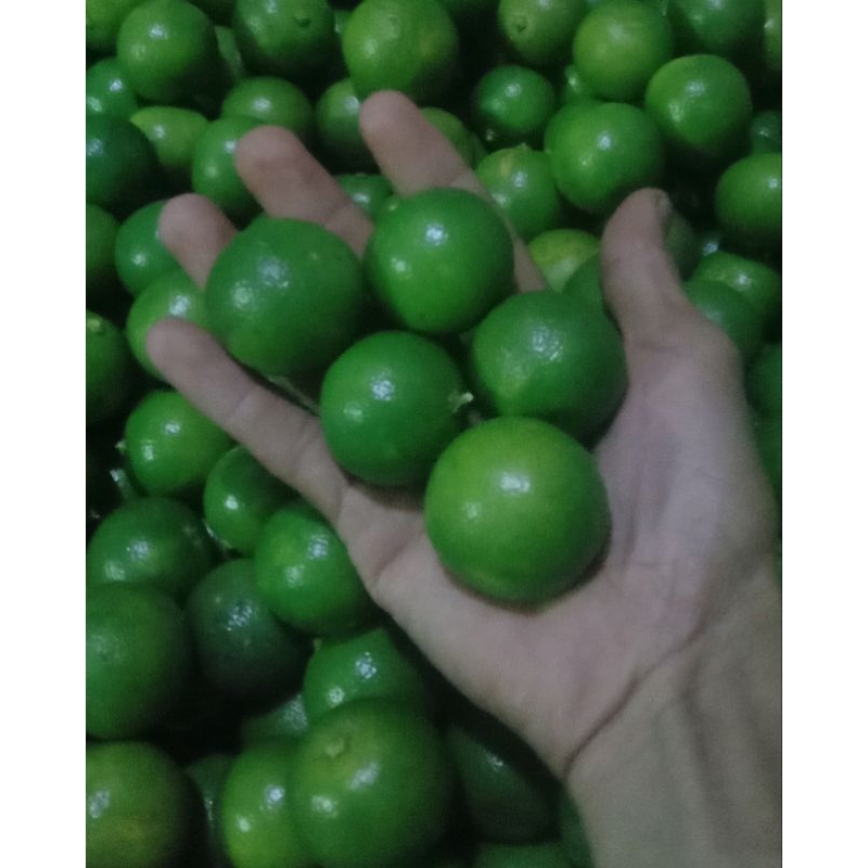 

jeruksongkit/kasturi/lemoncui