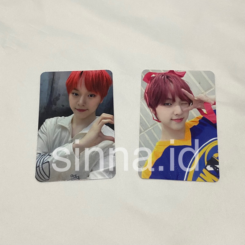 Dohyon BAE173 photocard everline benefit pc dash album bene dohyun vc