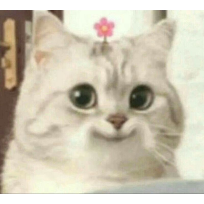 

sambal pecel abang dip