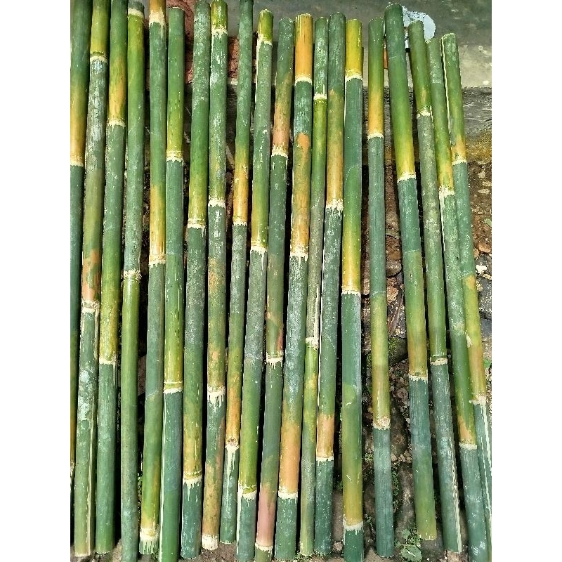Tiang bambu panjang 180cm bambu tiang bendera