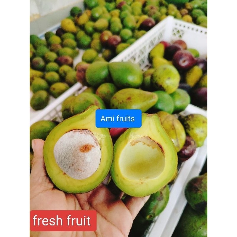 

DIOBRAL!!! alpukat mentega masak size 9 dan 10,11per 1kg
