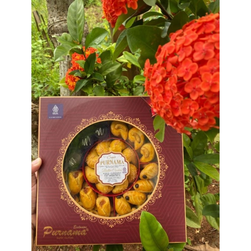 

Hardtop Exclusive box 800gr