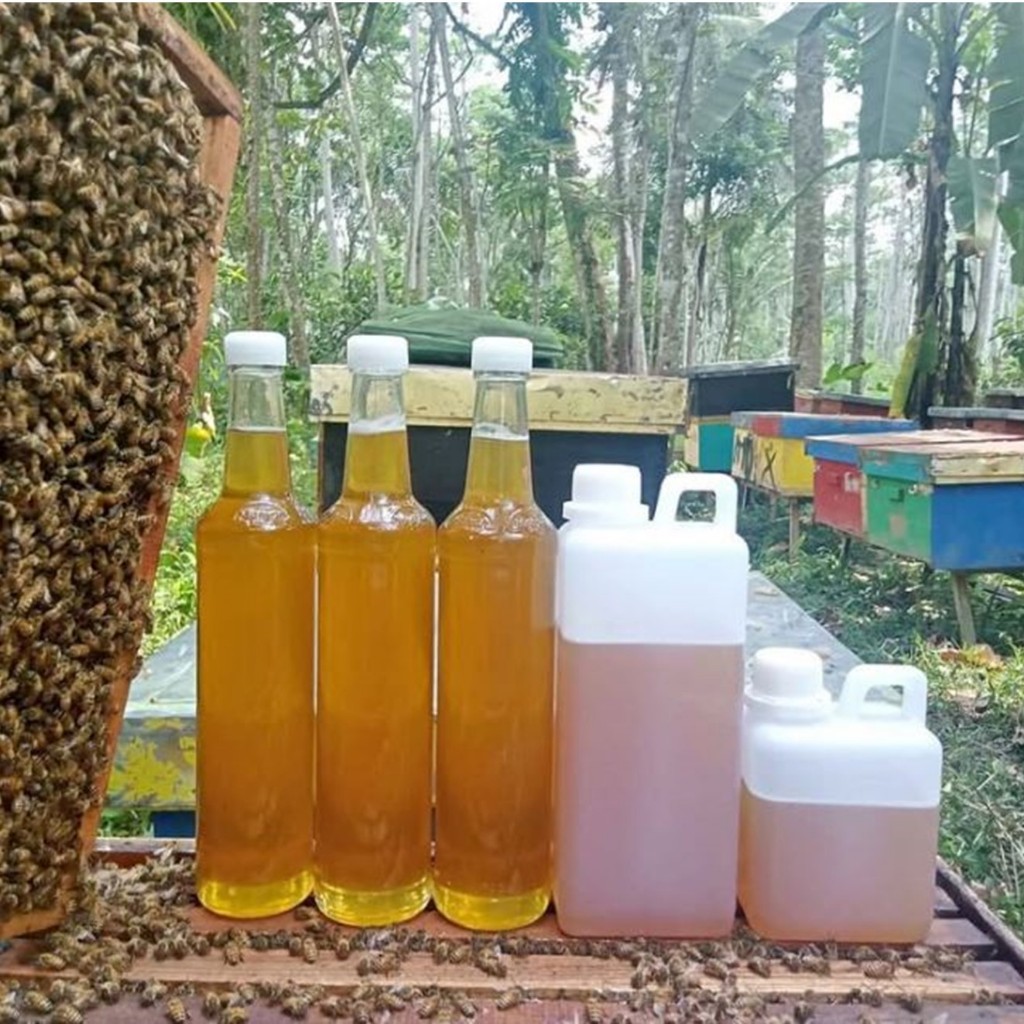 

Madu Multiflora Super Kental – Murni Tanpa Campuran, Kualitas Terbaik!
