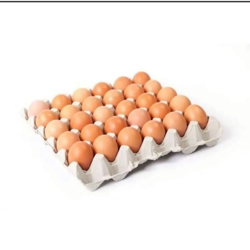 

Telur ayam negeri 1 tray isi 30 butir fresh