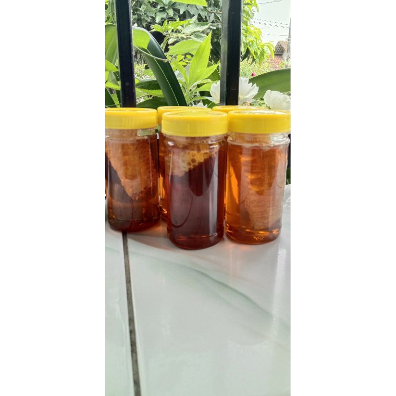 

MADU SARANG