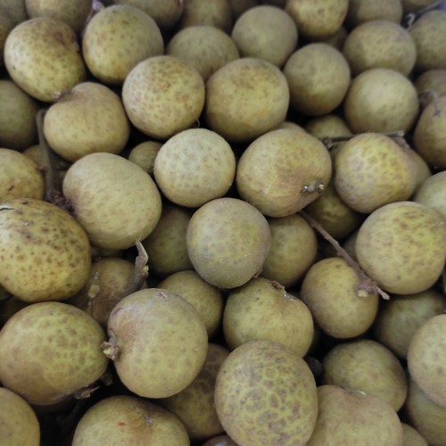 

Lengkeng Thailand Green 11kg
