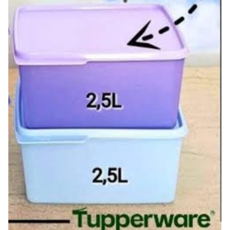 Tupperware Large Cozy Nest (1)wadah penyimpanan makanan dll
