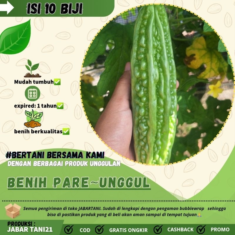 10 biji > BENIH UNGGUL BIJI PARE|PARE PAHIT|PARE SAYUR