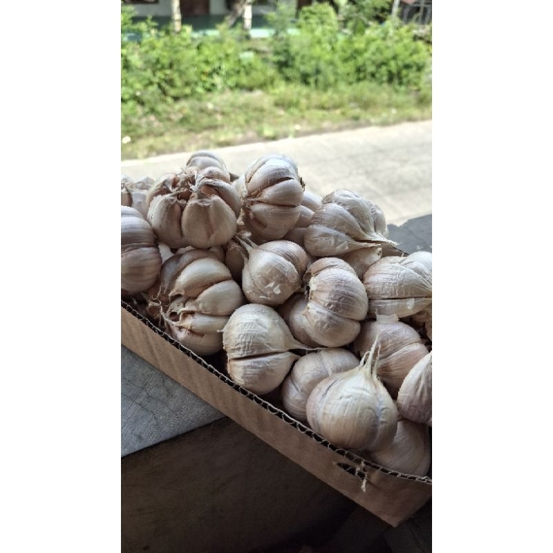 

Mix Baput kating 250 gr dan Sinco 250 gr