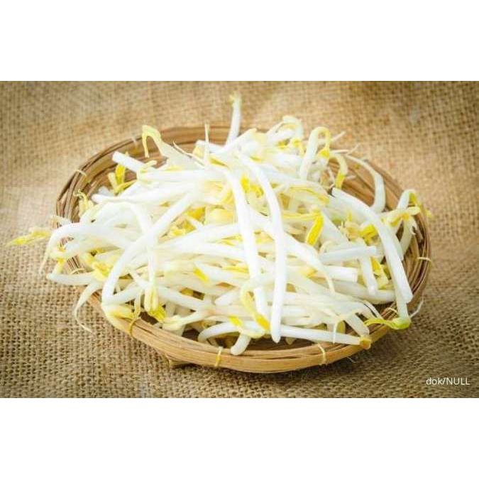 

[DAPUR EXPRESS] Tauge / Toge