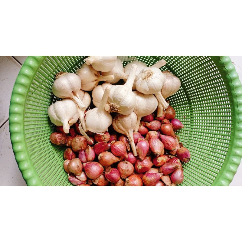 

Paket Bamer Baput kating 500gr {banksayur)