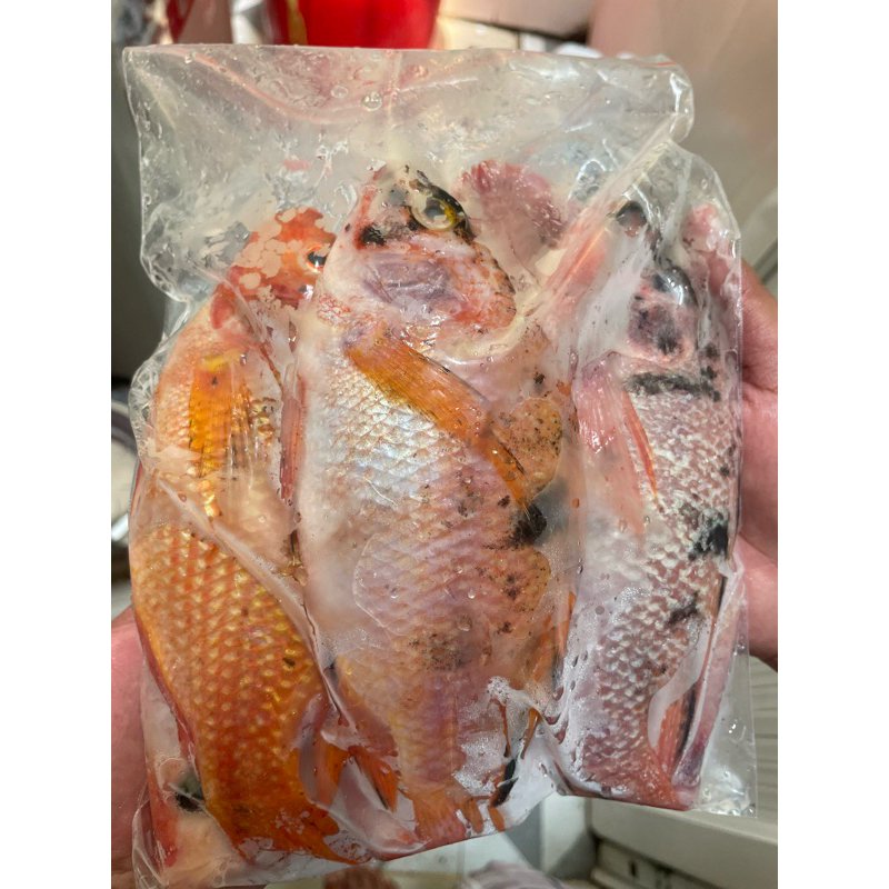 

IKAN NILA MERAH SUDAH DIBERSIHKAN 1KG ISI 5-6 FRESH FROZEN PREMIUM INSTAN