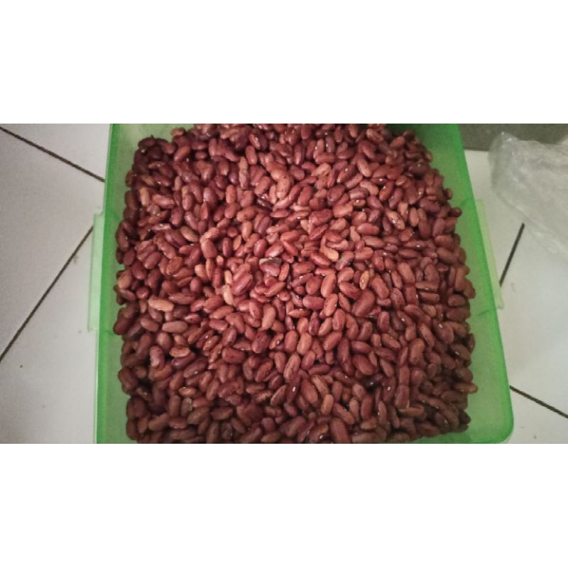 

kacang merah joglo