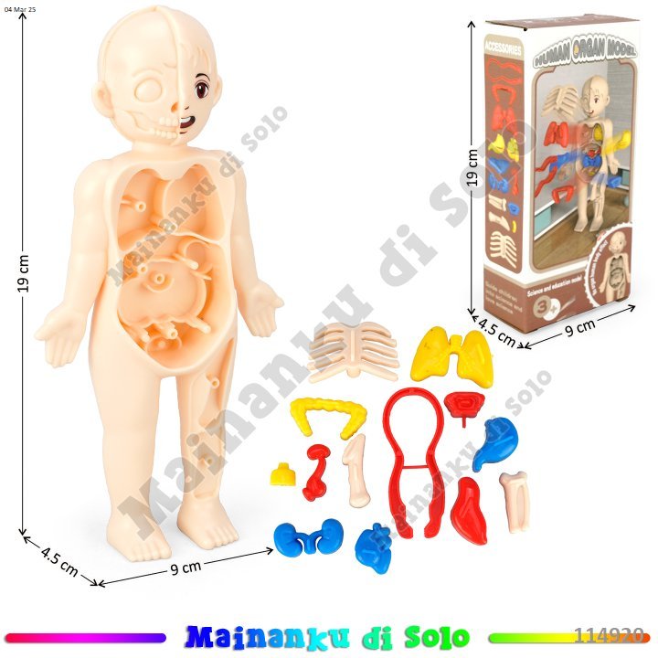 [Mainanku] Mainan Edukasi Organ Manusia Human Body
