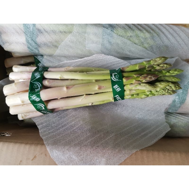 Asparagus Segar - Asparagus Fresh - Asparagus 1kg