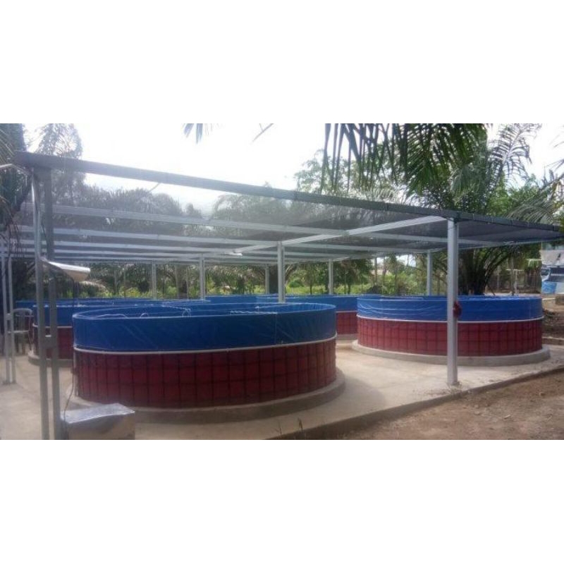 KOLAM IKAN KOLAM BULAT KOLAM BIOFLOK KOLAM ORCHID FULLSET