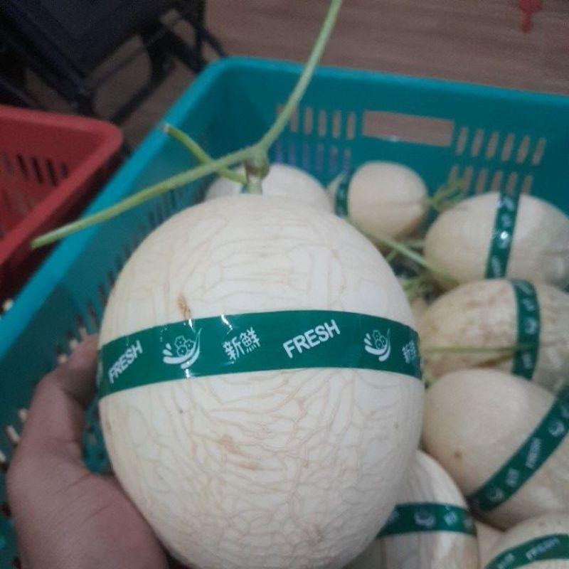 

Mmelon manis/Buah Segar Melon sweetnett/Melon impor/sweet nett