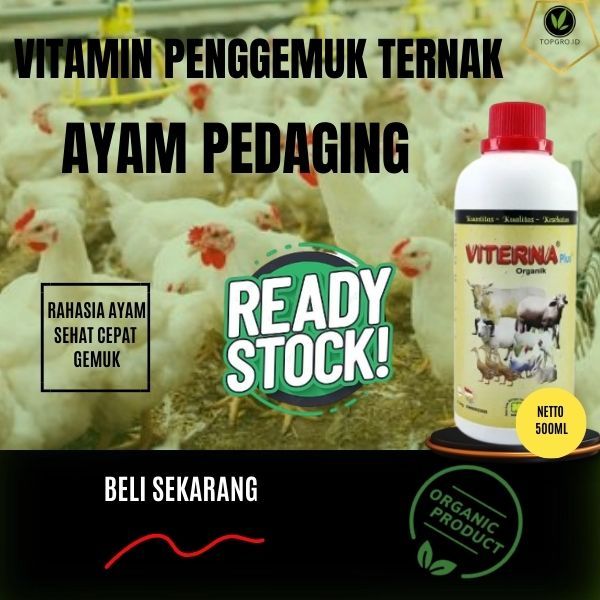 Vitamin Ayam Pedaging / Vitamin Ayam Pedaging Yang Paling Bagus / Suplemen Ayam Pedagingan / 500ML