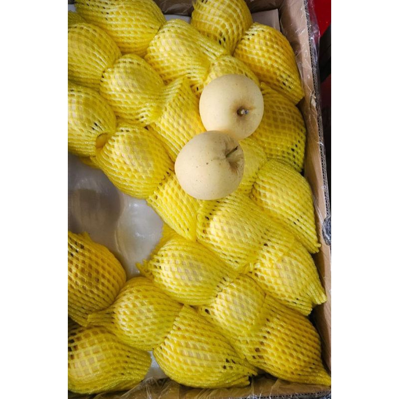 

APEL FUJI KUNING / APEL FUJI YELLOW LANGKA MANIS FULL SENYUM