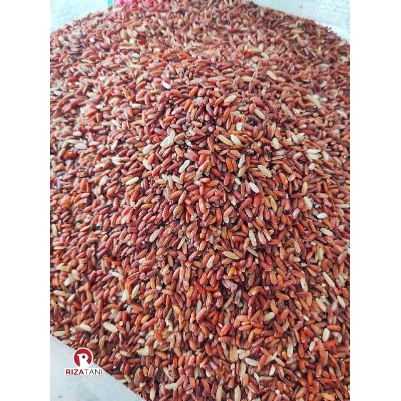 

BERAS MERAH ORGANIK PK 25 kg( pecah kulit) | COCOK UNTUK DIET