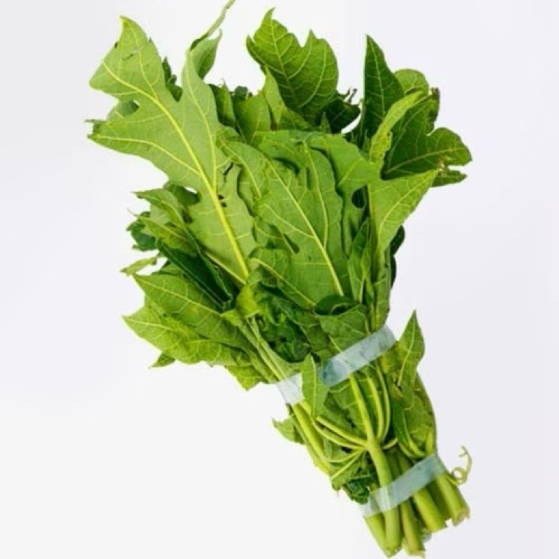 

[DAPUR EXPRESS] Daun Pepaya