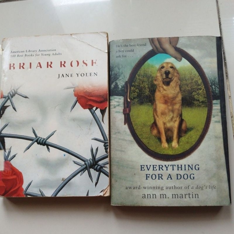 Ada defect Everything for a dog, briar rose Jane yolen