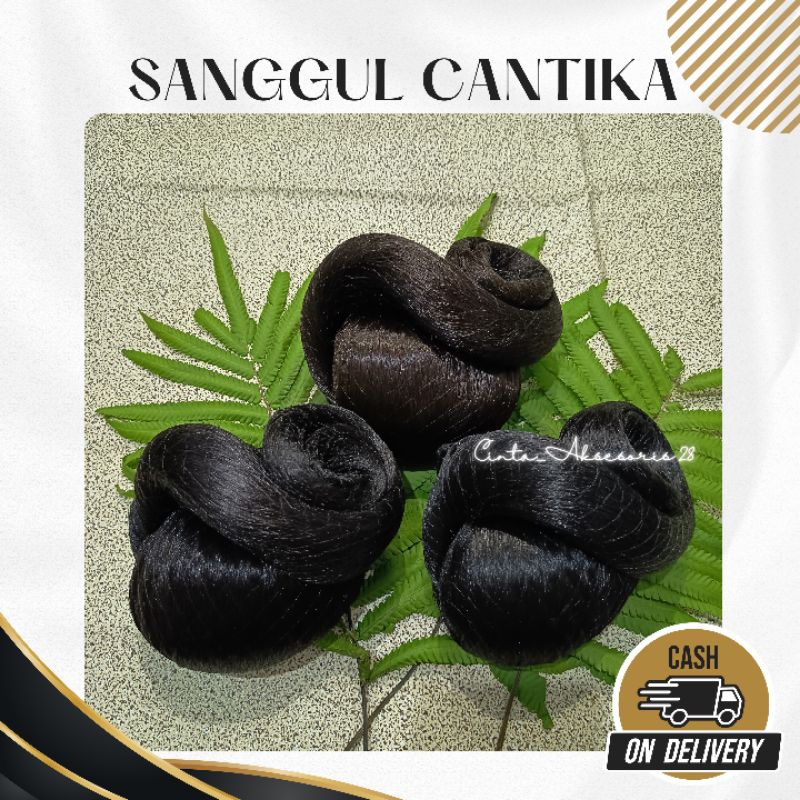 Sanggul cantika/Sanggul modern/Sanggul bali/Sanggul sirkam/Sanggul instan