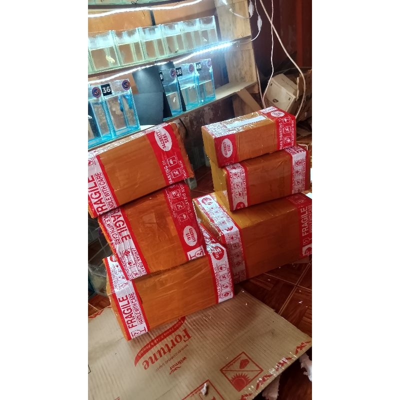 

box packing padri
