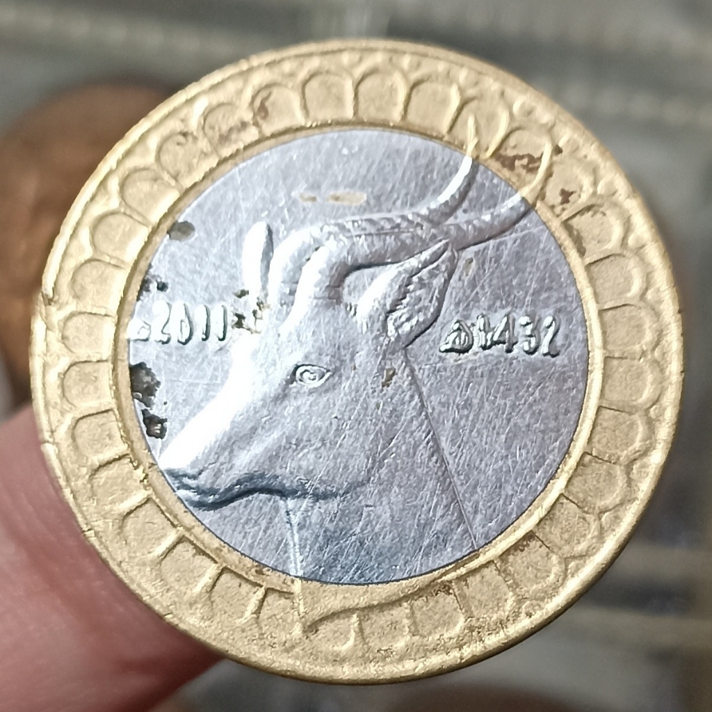 Koin Kuno Algeria 50 Dinars - Gazelle (Nanger dama)