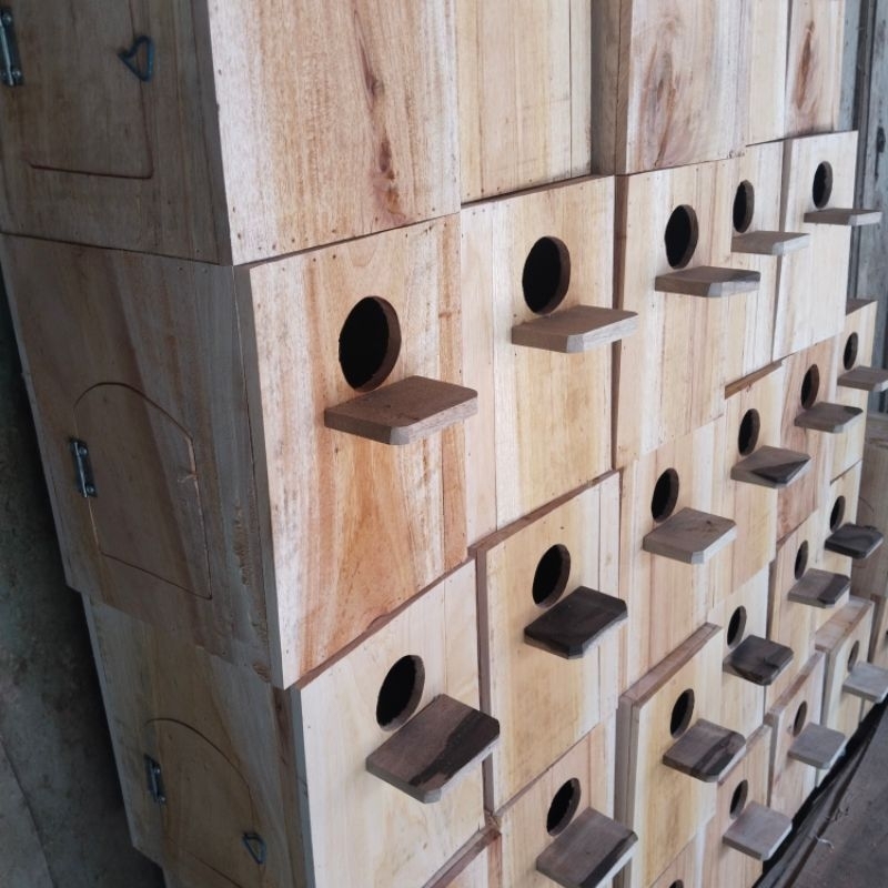 Glodok lovebird pintu samping pintu lengkung