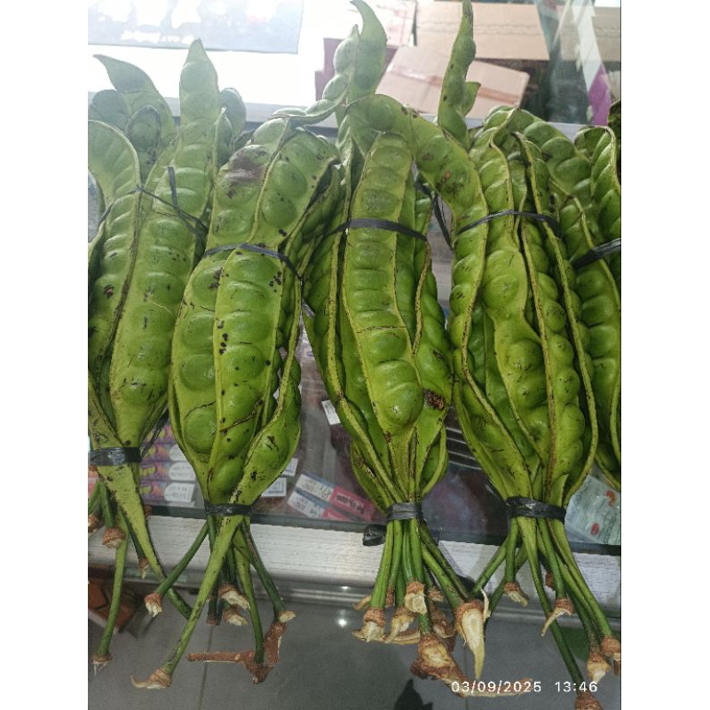 

PETE PETAI PREMIUM HARGA PER 10 PAPAN