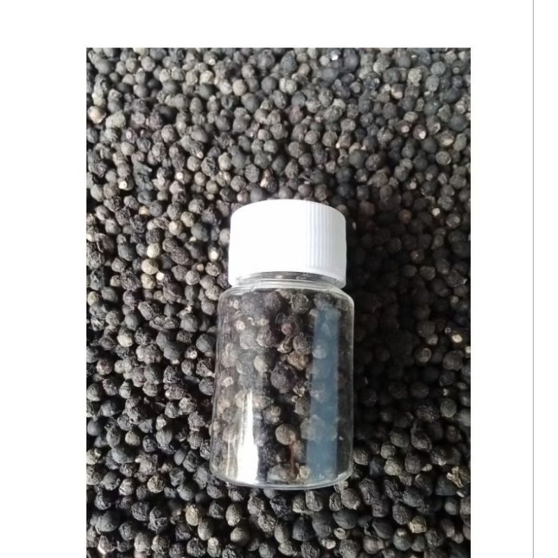 

Buah biji Angkung Kering 250 biji+15biji