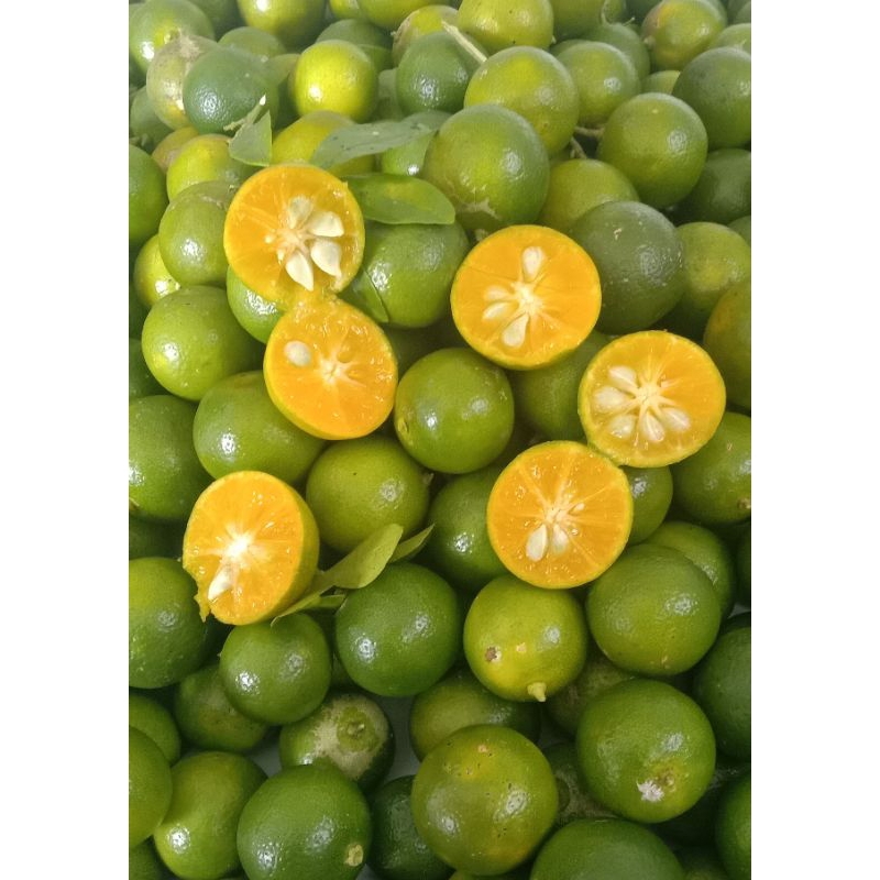 

jeruksongkit/kasturi/lemoncui