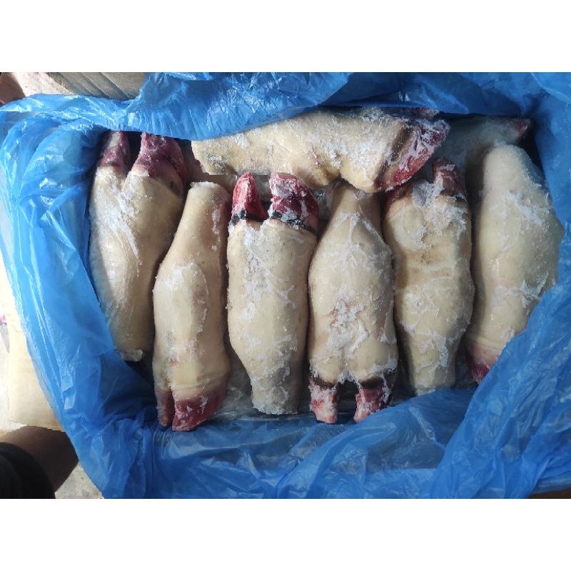 

Tunjang Sapi/Kaki Sapi