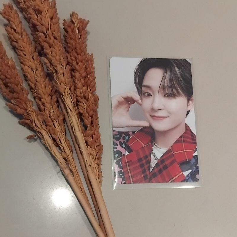 Official Photocard Jihoon Treasure Album Hello deep blue ver