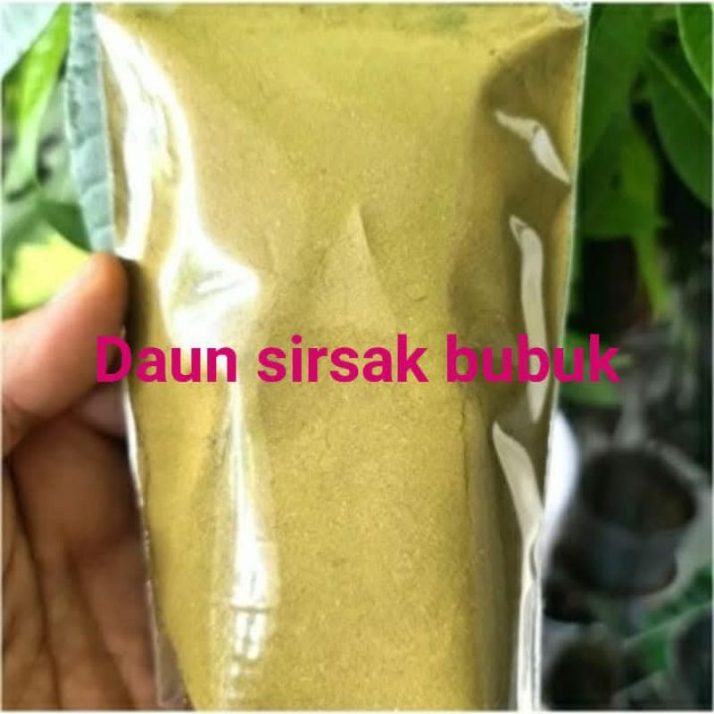 

bubuk daun sirsak murni 1kg/daun sirsak segar 50lembar/kapsul daun sirsak 100butir