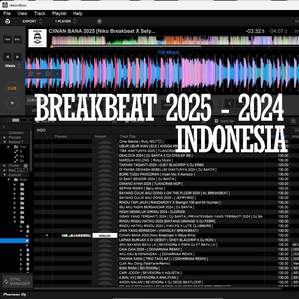 BreakBeat Indonesia 2025 - 2024 Single Mixing DJ