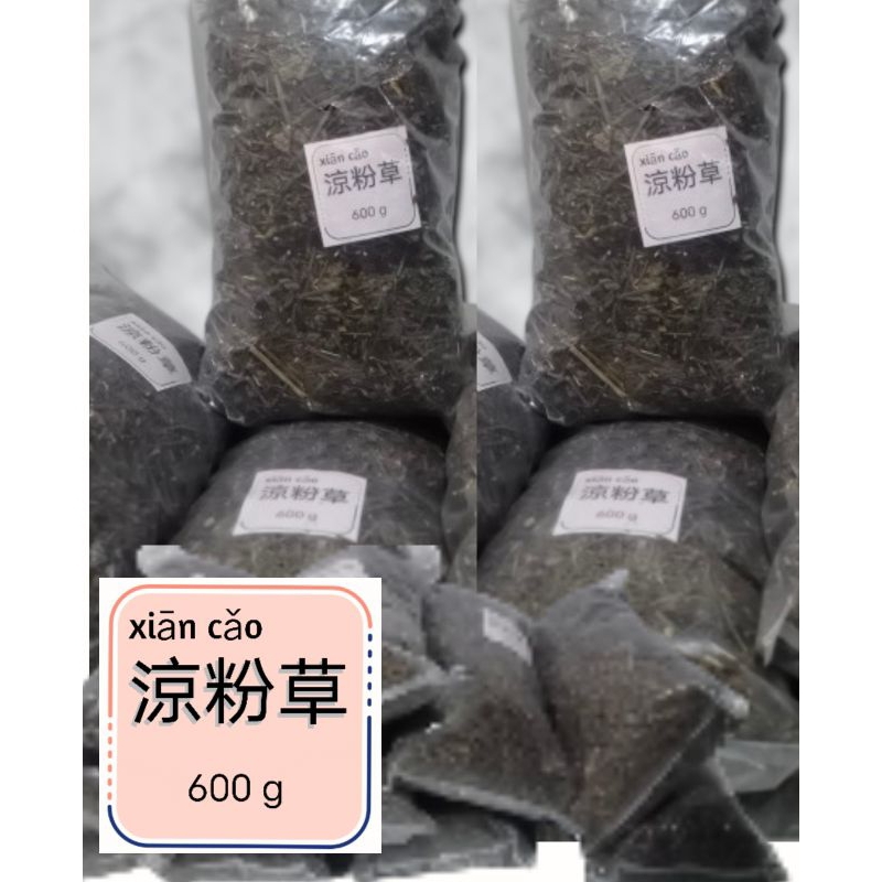 

XIAN cao, DAUN CINCAU PILIHAN